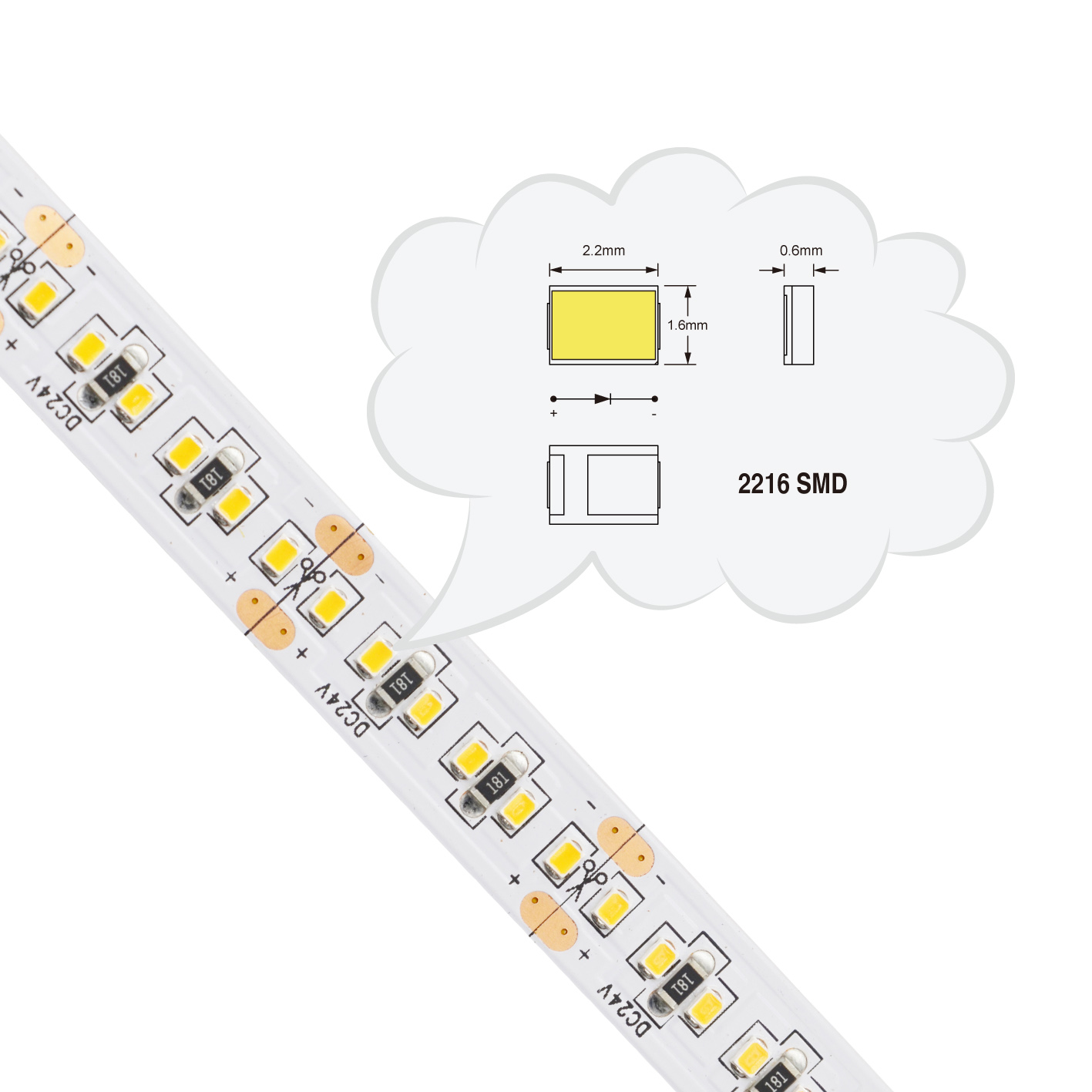  - 240leds/m-10mm-5M